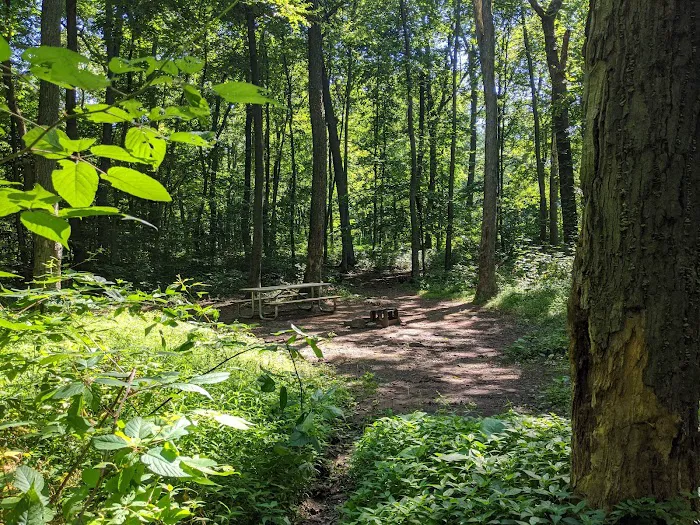 French Creek SP PA Loop A Picture 10