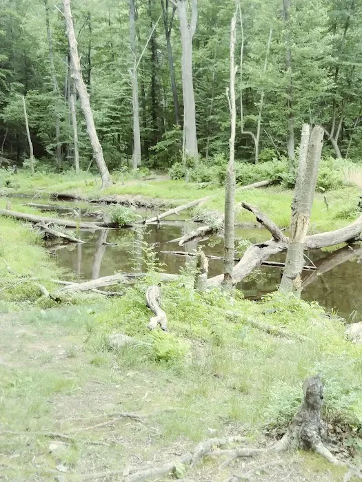 French Creek SP PA Loop A Picture 1