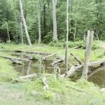 French Creek SP PA Loop A