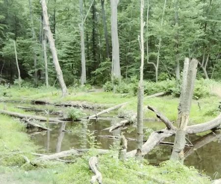 French Creek SP PA Loop A