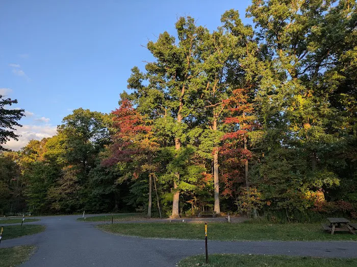French Creek State Park Campground Picture 10