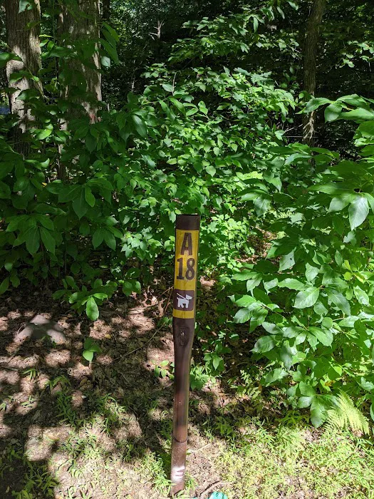French Creek State Park Campground Picture 7