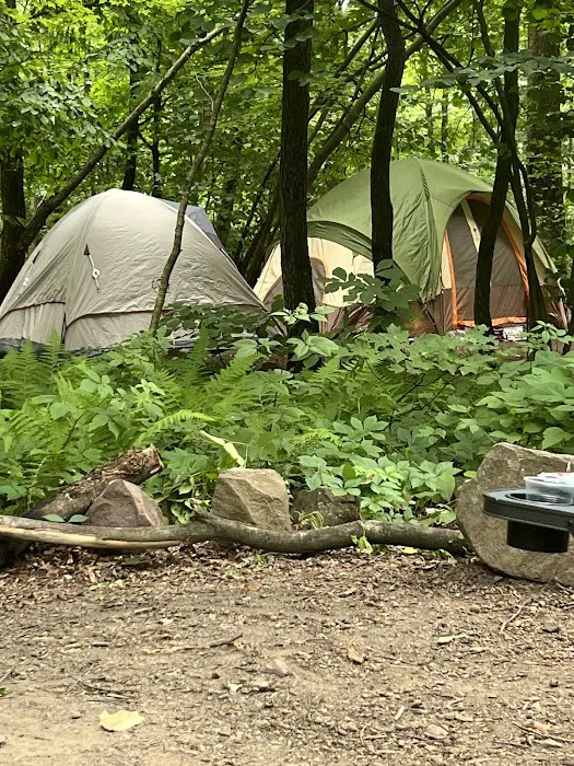 French Creek State Park Campground Picture 6