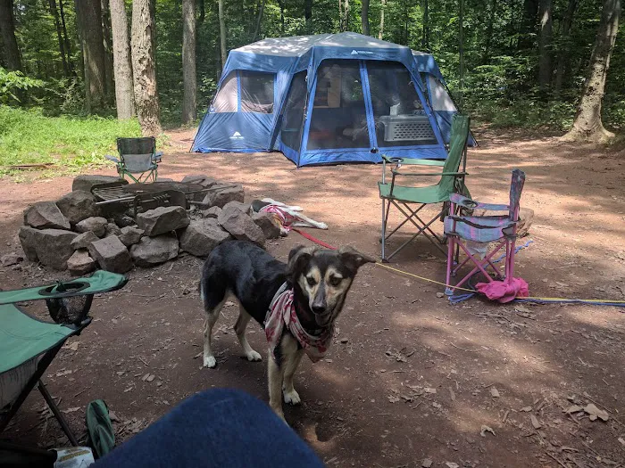 French Creek SP PA Loop C Picture 1