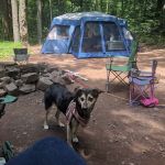 French Creek SP PA Loop C