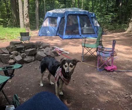 French Creek SP PA Loop C