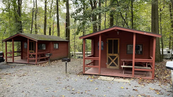 Mountain Springs Camping Resort Picture 5