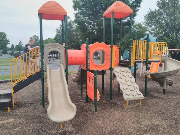Mountain Springs Camping Resort Picture 4