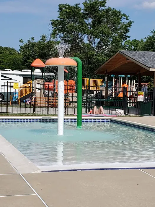Mountain Springs Camping Resort Picture 6