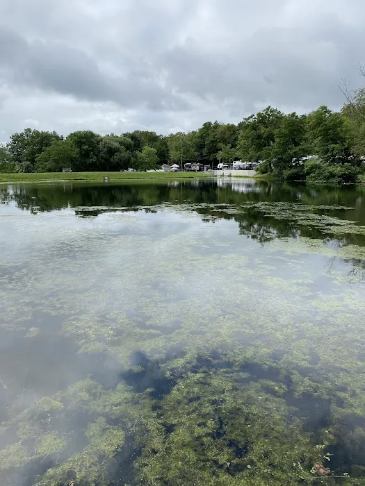 Mountain Springs Camping Resort Picture 3