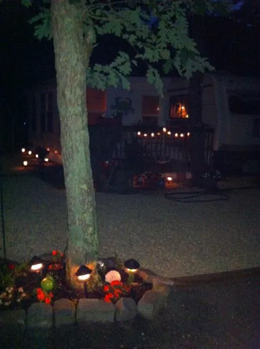Red Oak Shores Campground Picture 6