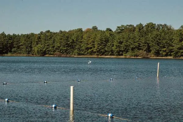 Thousand Trails Lake & Shore Picture 1