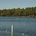 Thousand Trails Lake & Shore