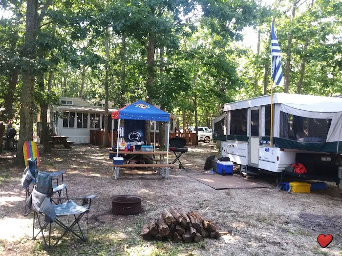 Sea Grove Camping Resort Picture 1