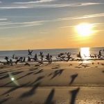 Ocean Beach Trailer Resort