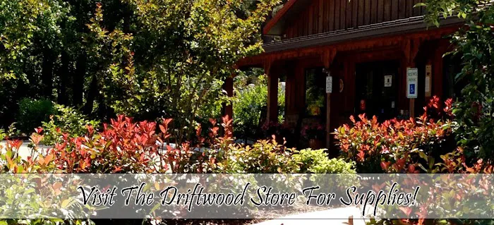 Driftwood Too! Camping Resorts Picture 2
