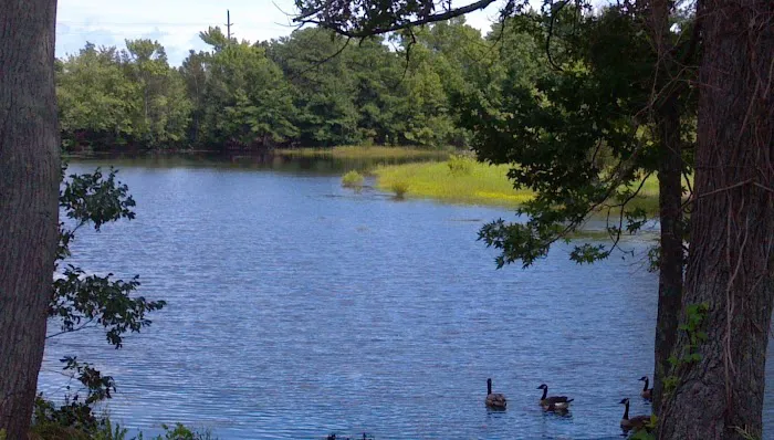 Thousand Trails Chestnut Lake Picture 9