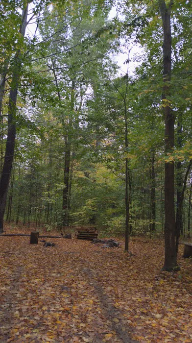 NYS DEC Designated Campsite Picture 2
