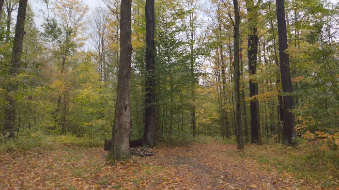 NYS DEC Designated Campsite Picture 1