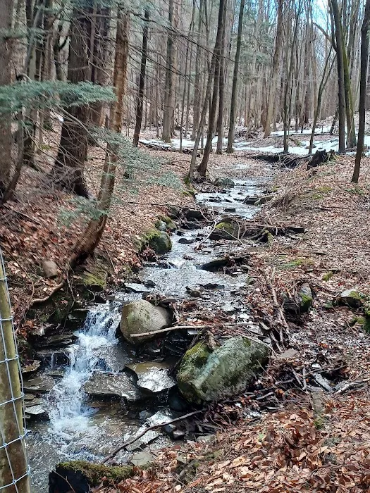 Chautauqua Gorge Campground Picture 6