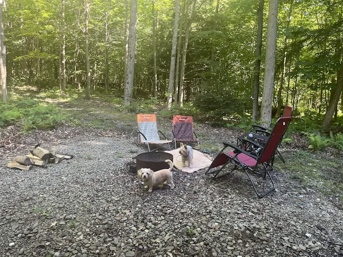 Chautauqua Gorge Campground Picture 10
