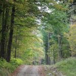 Cherry Creek Campground and Recreation