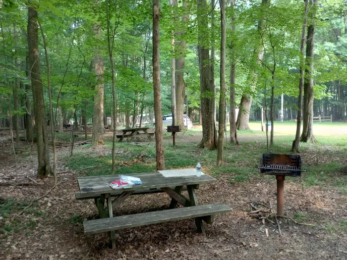 Lily Dale Campgrounds Picture 1