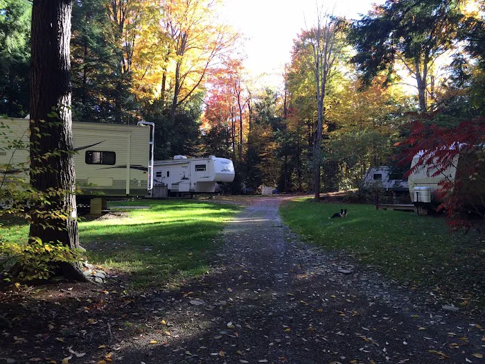 Woodside Campsites Picture 8