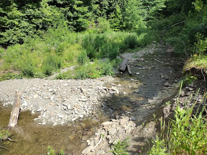 Woodside Campsites Picture 10