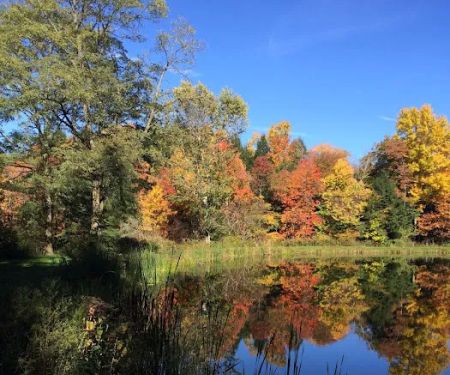 Woodside Campsites