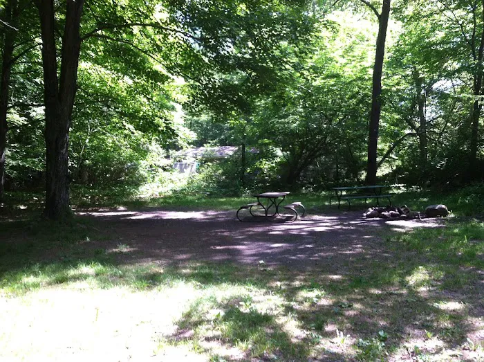Grassmere Park Campground Picture 6