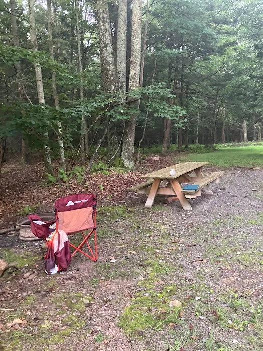 Ricketts Glen RV Sites Picture 2