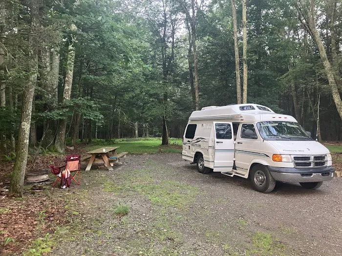 Ricketts Glen RV Sites Picture 1