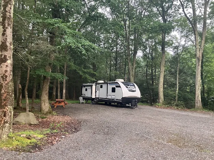 Ricketts Glen RV Sites Picture 5