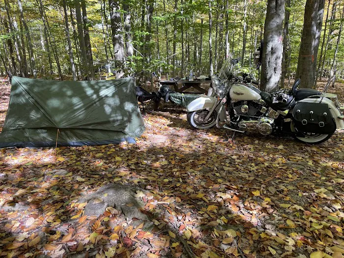 Pioneer Campground Picture 4