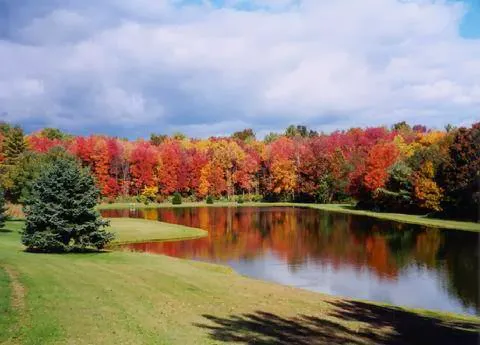 Whispering Pines Camping Estates Picture 5