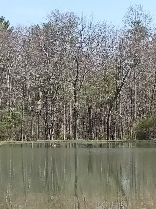 Whispering Pines Camping Estates Picture 7
