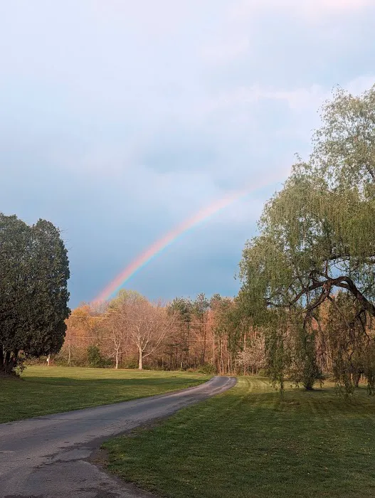 Wanna Ruf It Campground Picture 6