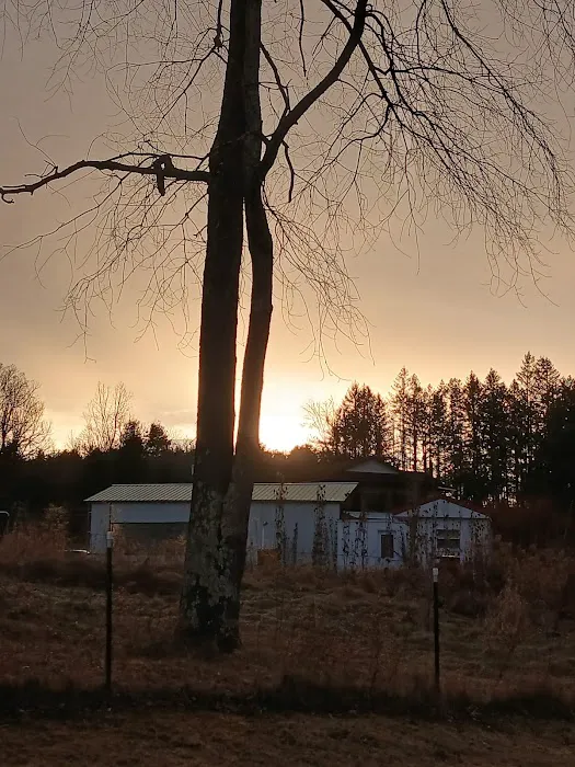 Sugar Creek Rv Park Picture 5