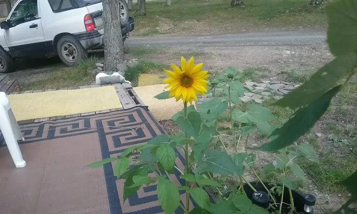 Scenic View Campground LLC Picture 9