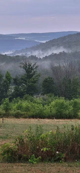 Gardner Hill Campground Picture 7