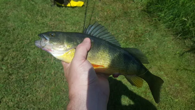 Houghton / Letchworth KOA Picture 1