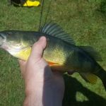 Houghton / Letchworth KOA