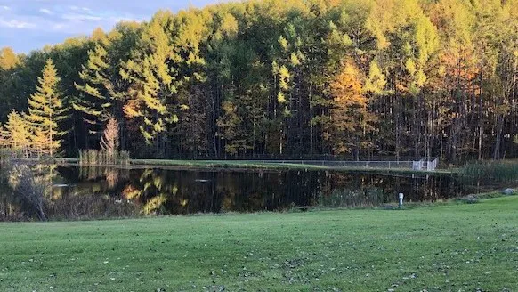 Houghton / Letchworth KOA Picture 5