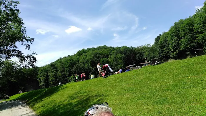 Arrowhead Camping Area Picture 5