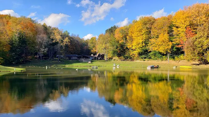 Arrowhead Camping Area Picture 7