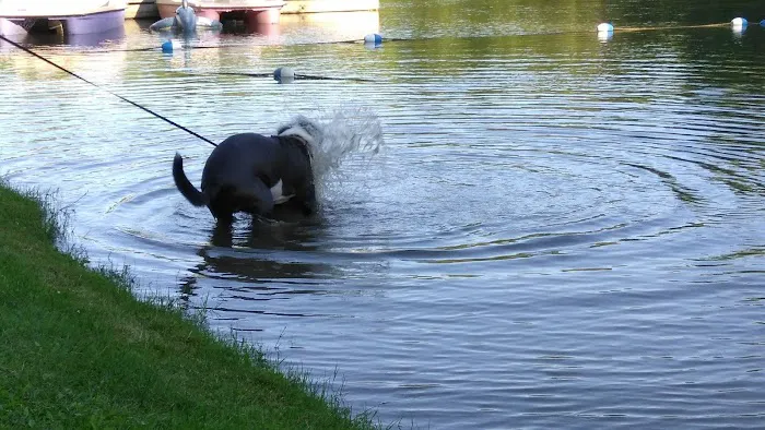 Arrowhead Camping Area Picture 2