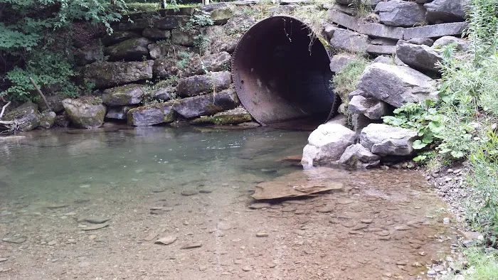 Arrowhead Camping Area Picture 3