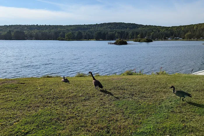 Allegany Mountain Resort at Rainbow Lake Picture 5