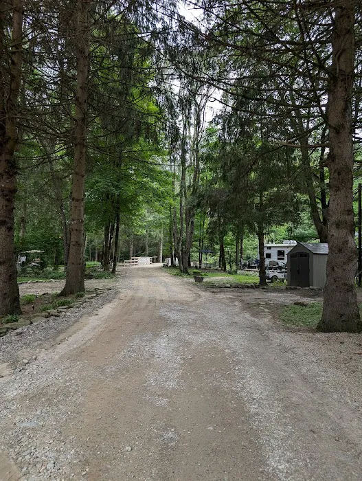 Jones Pond Mens Only Campground & RV Park Picture 7